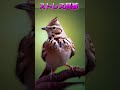 【２３秒で心が落ち着く】　#鳥の囀り #スピリチュアル #birdsounds