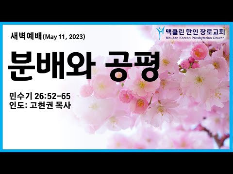 분배와 공평 썸네일