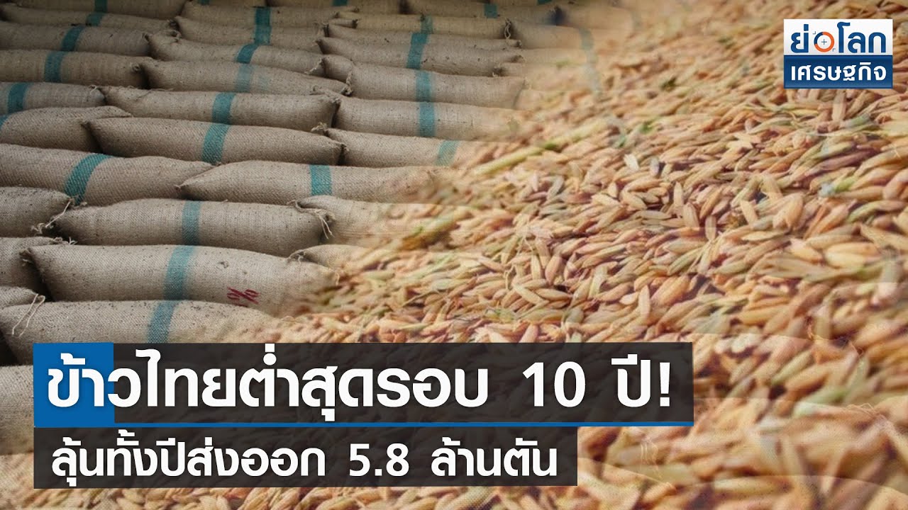 ข้าวไทยต่ำสุดรอบ 10 ปี ลุ้นทั้งปีส่งออก 5.8 ล้านตัน | ย่อโลกเศรษฐกิจ 13ก.ย.64