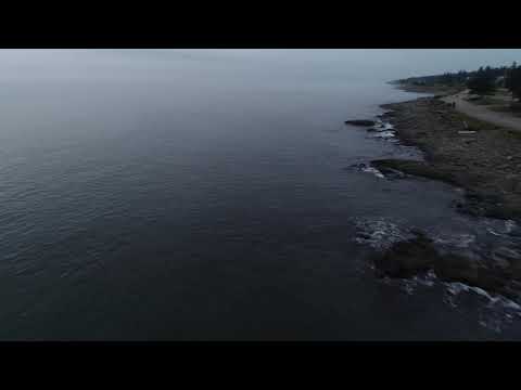 Seal Watching, Cottage Cove, NS, CA