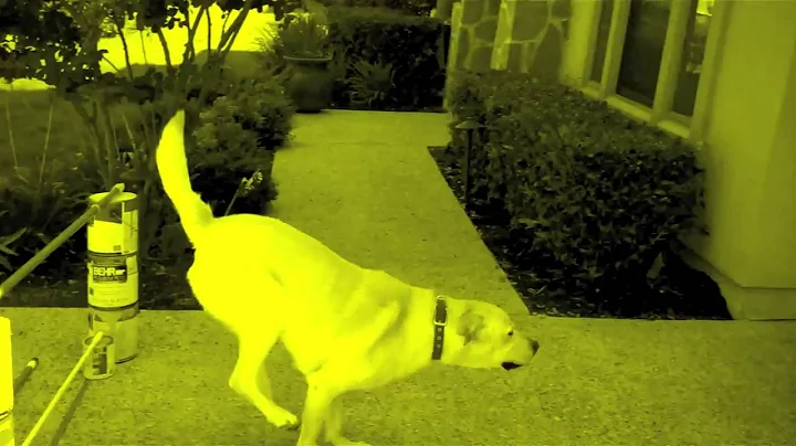 -[C] A [U] T [I] O [N]-