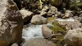 버팔로 모텔 & 하이 컨트리 리트리트, 포어펀카(브라이트, 빅토리아 근처)