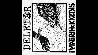 SKIZOPHRENIA / DELETÄR - split 7 (2025) | Hardcore Punk