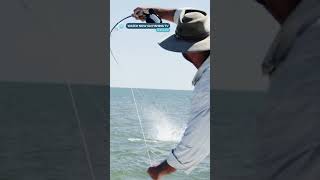 These Queenfish hits are crazy! 😳 - ‘Predator’ on Fishing TV