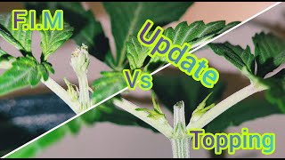 The Friendly Grower - F.I.M Vs Topping update #1
