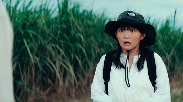 伊藤沙莉主演　映画『風のマジム』沖縄の広大なサトウキビ畑シーンの本編映像解禁！
