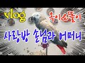 [연구대상똘이] 엄마는 앵무새 선생님! I love Animal Farms 동물농장~