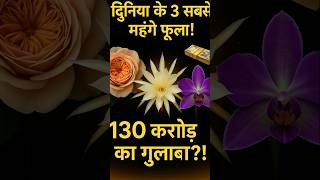 Download Lagu This flower is worth 130 crore rupees?! The 3 most expensive flowers in the world 🌹😱 MP3