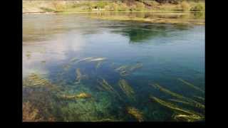 Diving The Viroit Lake