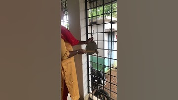 Real School bell sound #school #schoolbell #youtube_shorts #shortfeed #viralvideo