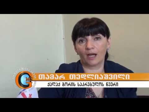 თამარ თედლიაშვილი: ,,მერი თავისივე მოთხოვნებს ეწინააღმდეგება\"
