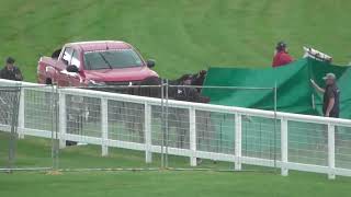 RIP St Arnicca - jumps racings latest victim