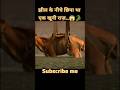 मगरमच्छ की झील | Horror Mystery Explained in Hindi"