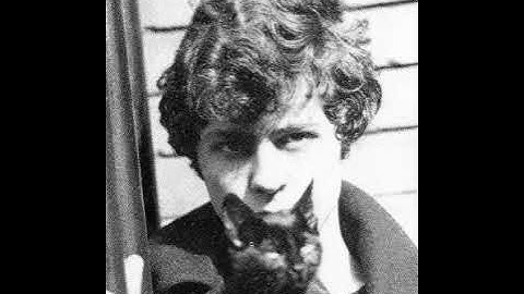 Cat Black (The Wizard’s Hat) Instrumental version - Instrumental performance video thumbnail