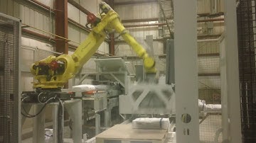 Robot w Lateral Gripper w pallet dispenser