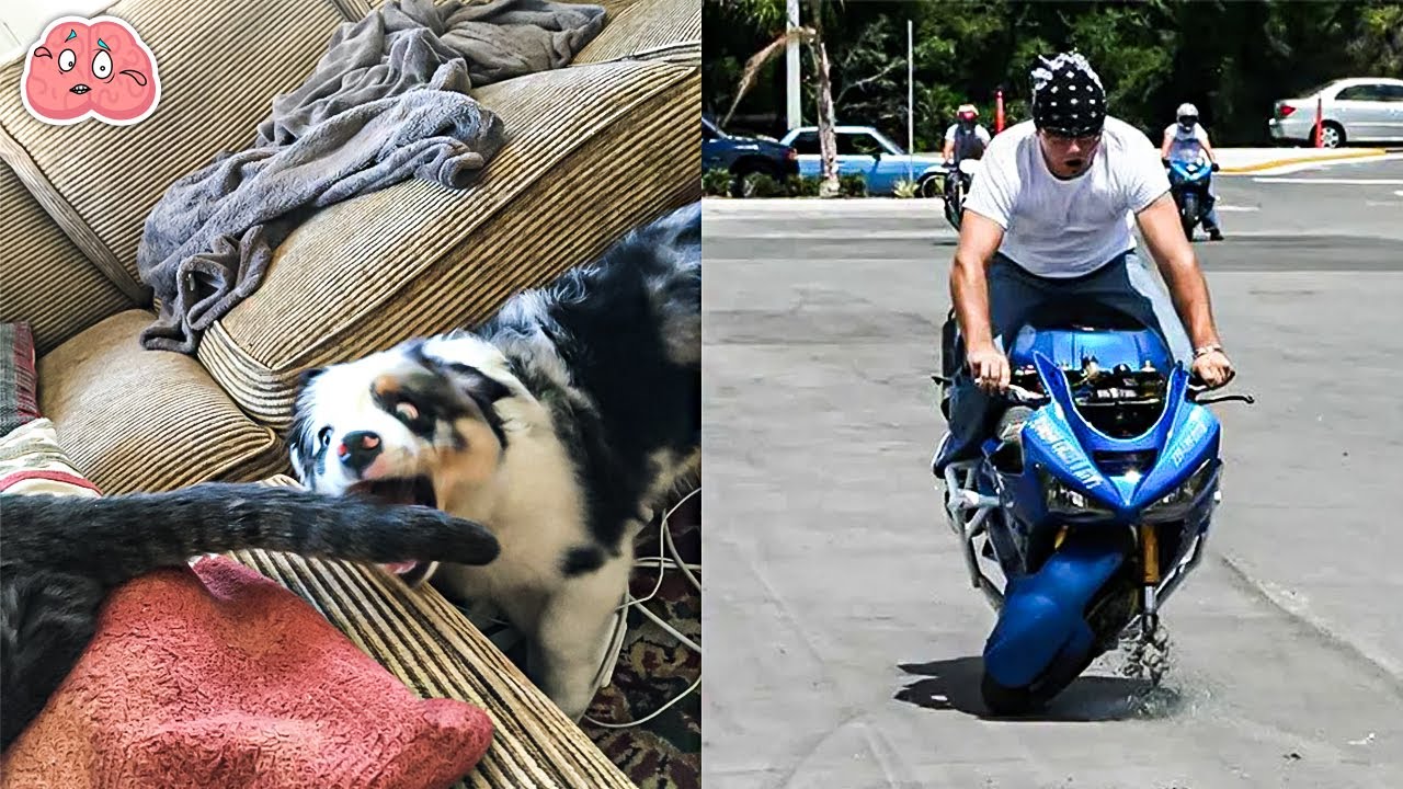 Funny Photos Taken Right Before Disaster