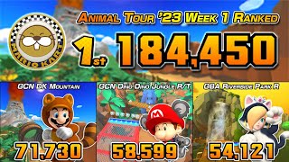 NOT SO ANIMAL | Mario Kart Tour | Animal Tour 23 Week 1 Ranked Cup (184K) | Tier 99 | Lv 400