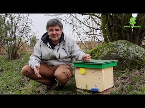 Video: Útulok pre čmeliaky – Ako si vyrobiť hniezdo pre čmeliaky do záhrady
