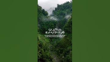 تلاوة خاشعة جميلة ارح سمعك #اكسبلور_فولو