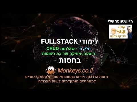 קורס SQL - שאלתות CRUD , הוספה , מחיקה ועריכת רשומות... - חלק ח
