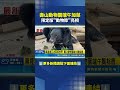 壽山動物園限定版"動物粽"亮相 黑猩猩互送菜粽放閃｜三立新聞LIVE