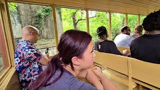 Silver Dollar City, July 2026
