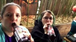 Portland Vlog: VegFest Day 2 & Eating You Alive Screening
