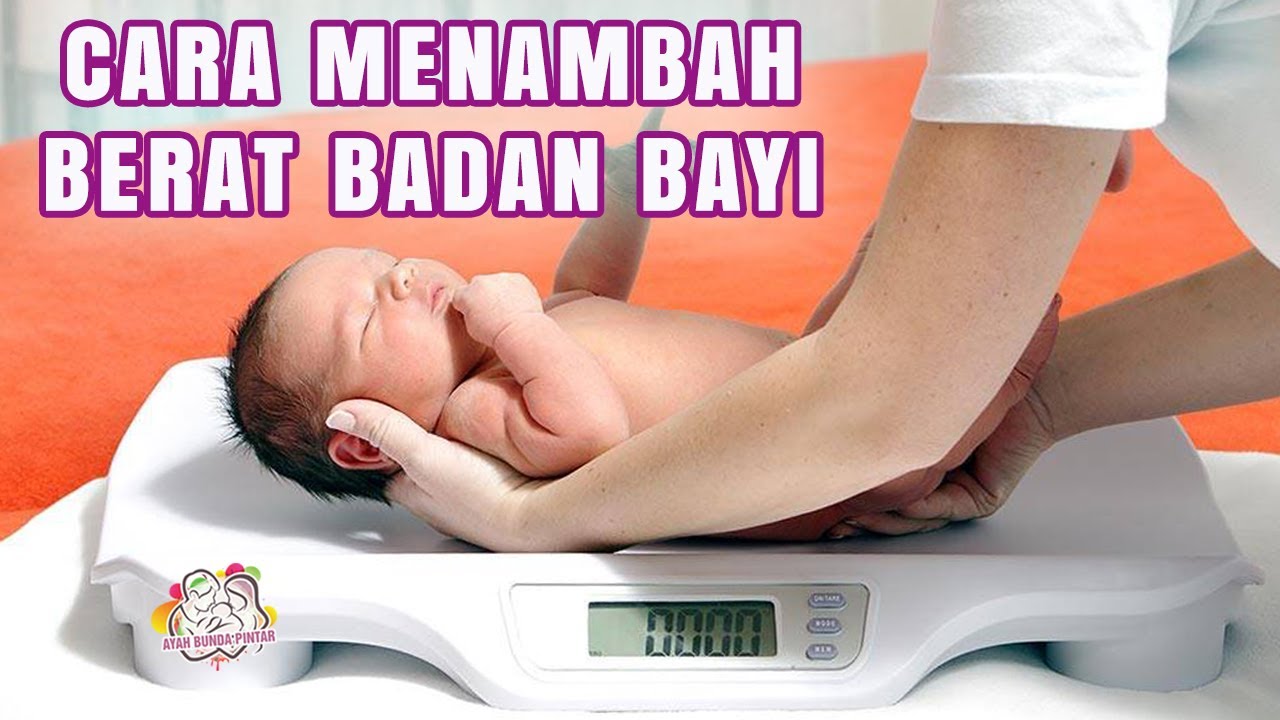Petunjuk Cara Tips Menaikkan Berat Badan Bayi Yang Aman Mudah Praktis Di 2021 Rabab Minangkabau