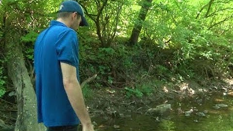 Search for missing Beech Grove python continues