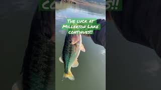 Millerton lake bass: SLOOOWW DRAGGIN’