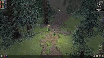 Dungeon Siege - Speed Run - Part 1 of 15 (HD)