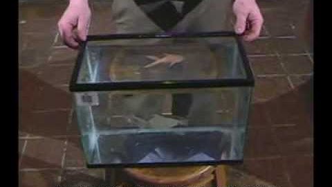 Fish tank - reflections and refraction