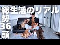 自分が普通だと思っていたわんこ36頭との生活は普通ではなかった【EcoFlow】