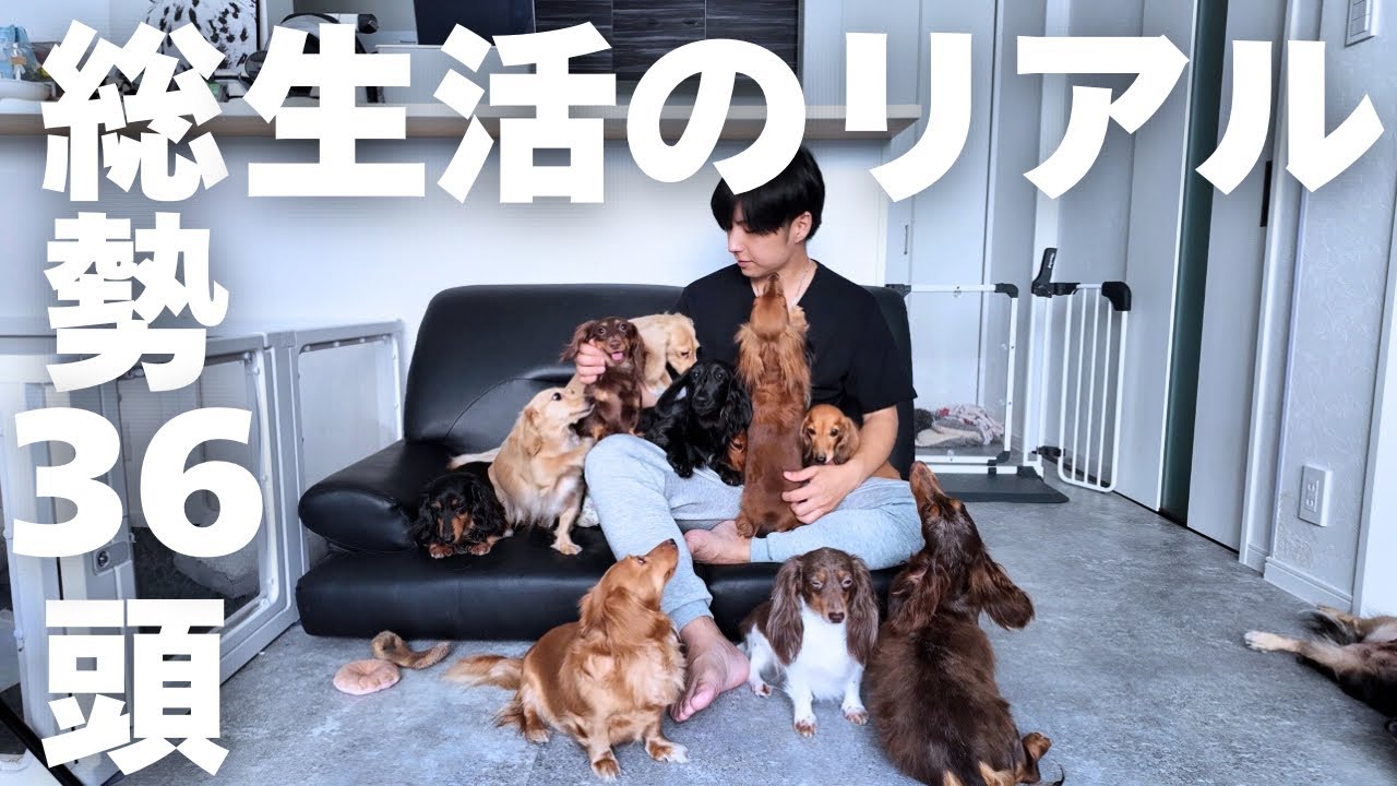 自分が普通だと思っていたわんこ36頭との生活は普通ではなかった【EcoFlow】