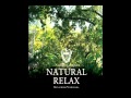 kenichiro nishihara - beautiful things