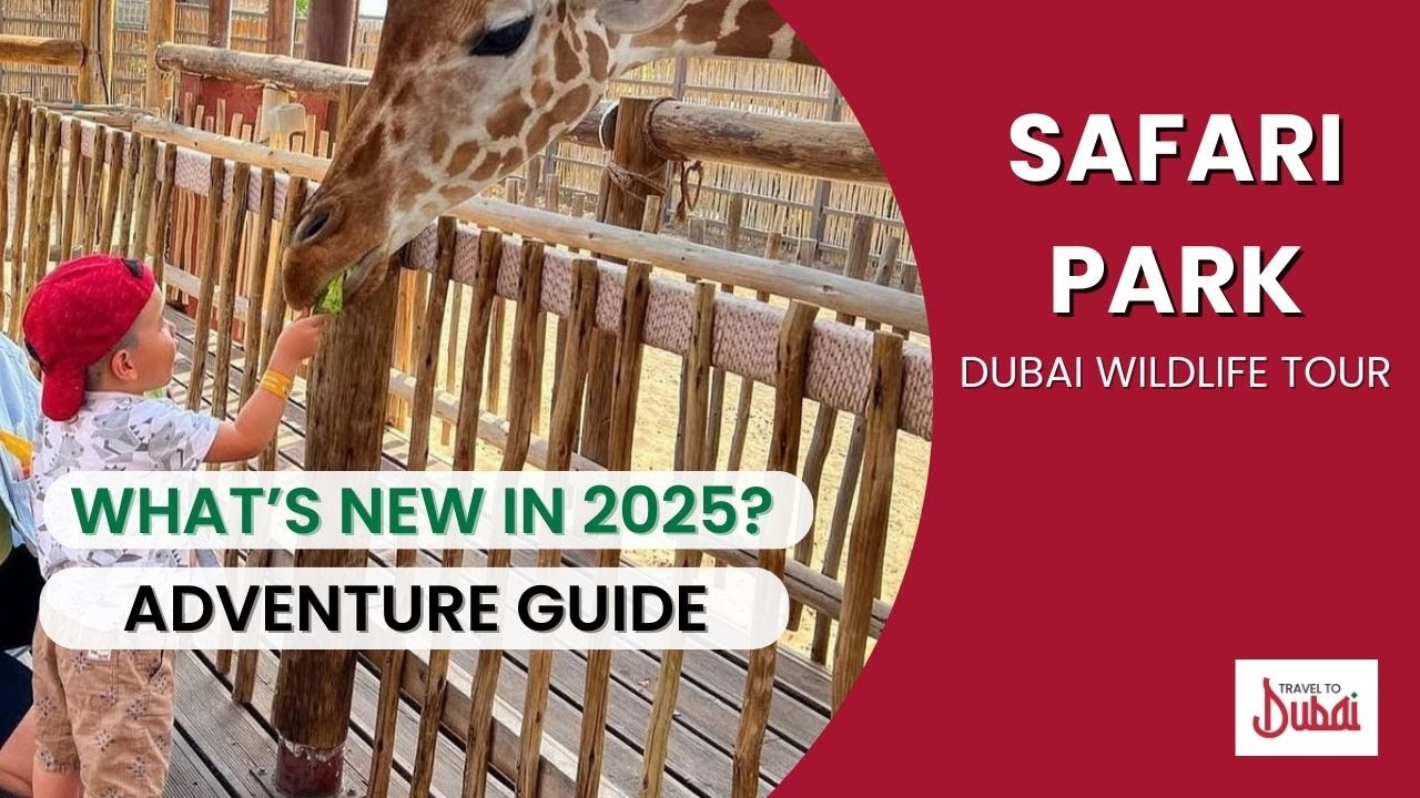 Dubai Safari Park Reopens date announced | Discover Over 3,000 Animals
