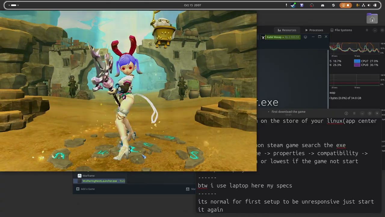 How To Play Dragon Nest(private server) on linux