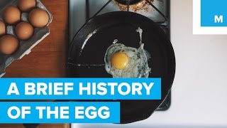 How Much Do You Really Know About Eggs | Mashable