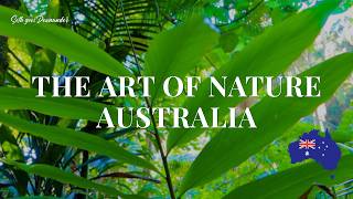 The Art of Nature: Australia - Cinematic Shots & Relaxing Ambience