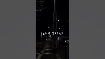 سورة مريم عبد الرحمن مسعد 💙📚 #quran #اكتب_شي_تؤجر_عليه #القران #ارحقلبك #راحة_نفسية