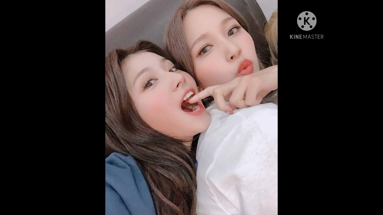 #MISANA #2Na - (Turtle)