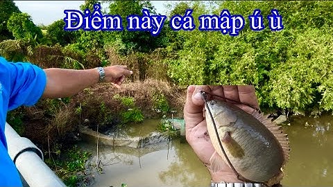 Câu cá rô đồng, Món Bún Cá Rô Thơm Ngon / Fishing and cooking with fish
