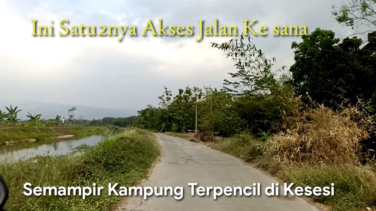 Semampir Kesesi Kabupaten Pekalongan