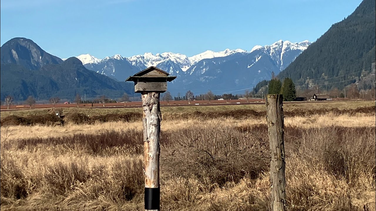 Alouette River Watershed Walk