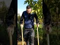 lavorazione #prode dell'orto con la #grelinette #mattthefarmer #orto #terra