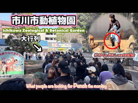 Punch-kun] I went to the most popular zoo in the world and was