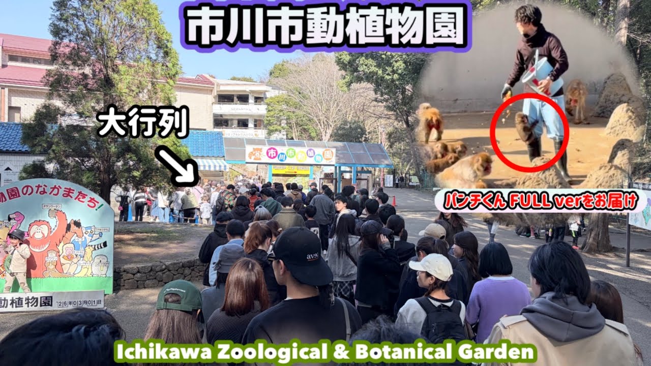 【パンチくん】いま世界で最も注目される動物園に行ってみたらスタッフ達の頑張りに胸が熱くなりました...