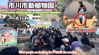 Punch-kun] I went to the most popular zoo in the world and was