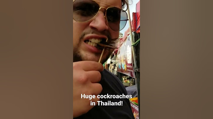 Eating a HUGE cockroach in Thailand 🇹🇭