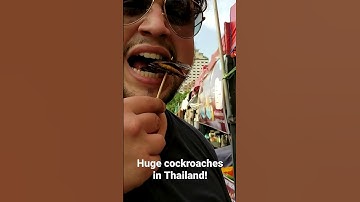 Eating a HUGE cockroach in Thailand 🇹🇭